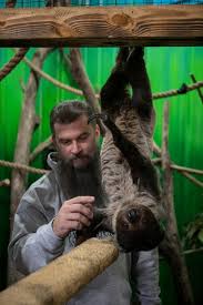 Image result for Worthing Otters