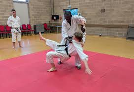 Image result for Junsui Shotokan Karate Do