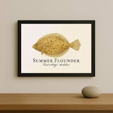 Image result for Paralichthys dentatus