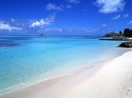 http://t0.gstatic.com/images?q=tbn:ANd9GcSGnA_vxIhgz8g_Epzp2PCXojII3aFPlgVPYKluCmabFfOkiJLV1Q