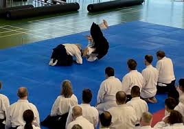 Image result for Matlock Aikido Club