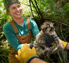 Image result for Craigmount Cougars