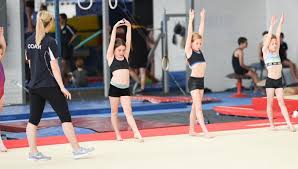 Image result for Northern Gymnastics Club CIC