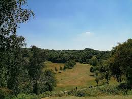 Image result for Wrekin Golf Club