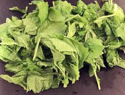 Attēlu rezultāti vaicājumam “Lapsana communis fruit”