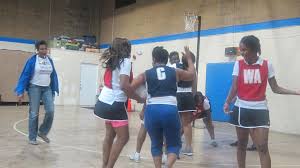 Image result for Ecs Predators Netball Club