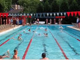 Image result for Downham & District Swimming Club