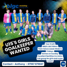 Image result for Bolton Lads & Girls Badminton Club