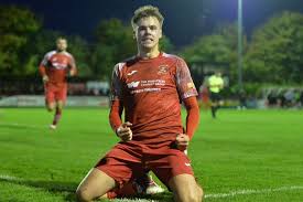 Image result for Needham Market Football Club