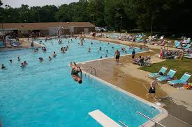 Image result for Ledbury & District Amateur Swimming Club