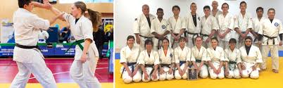Image result for Sokudo Martial Arts Club