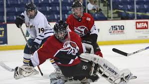 Image result for Winchester Hockey Club