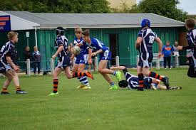 Image result for Holderness Vikings Amateur Rugby League Football Club