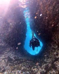 Image result for Eltham and District Sub Aqua Club