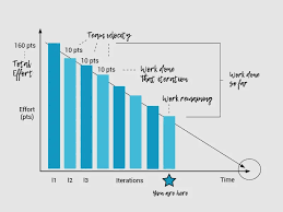 Image result for burnup chart
