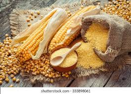 Image result for Mais