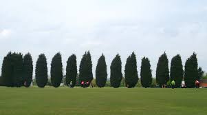 Image result for Leicester Ivanhoe Cricket Club