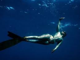 Image result for TAL Divers