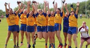 Image result for Silverbridge Harps Gac
