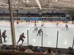 Image result for Guildford Ice Dance Club