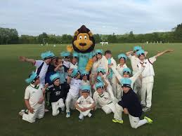 Image result for Horley Cricket Club