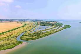 Image result for Essex Stragglers