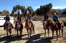 Image result for Palmers Riding Stables