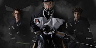 Image result for New Milton Hockey Club