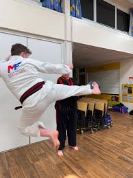 Image result for Taekwondo Witney