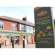 Image result for City of Preston Aquatics