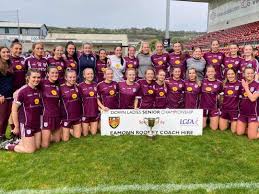 Image result for Bredagh G A C