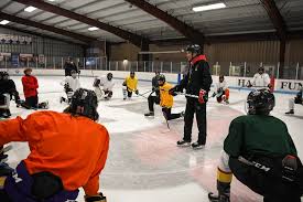 Image result for Demons Skater Hockey Club