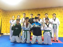 Image result for Parkgate Taekwondo Club