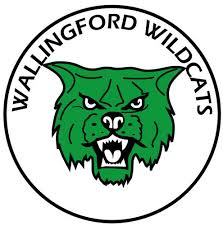 Image result for Wallingford Hockey Club