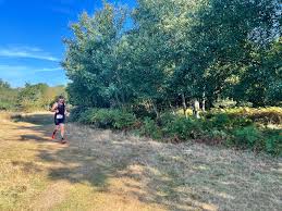 Image result for Epping Runners