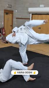 Image result for Bromsgrove Taijutsu Kai Self Defence