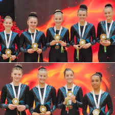 Image result for Wiltshire School Of Gymnastics
