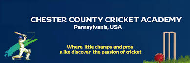 Image result for High Easter Cricket Club