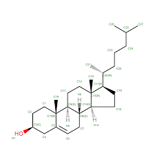 Image result for b%FD%E7ak anatomisi