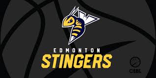 Image result for Stingers Korfball Club
