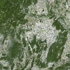 Attēlu rezultāti vaicājumam “Geocrypta galii”