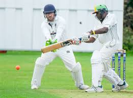 Image result for Bucklebury Cricket Club