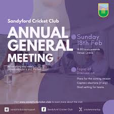 Image result for Sandyford Cricket Club