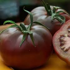 Afbeeldingsresultaat voor black brandywine tomato