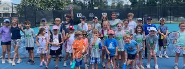 Image result for North Logic Badminton Club