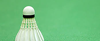 Image result for Lessa Em Badminton Club