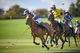 Image result for Cowdray Park Polo Club