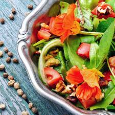 Attēlu rezultāti vaicājumam “Tropaeolum majus fruit”