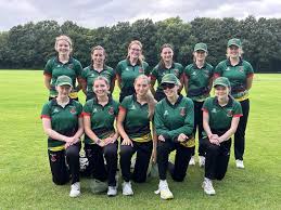 Image result for Hatherleigh Cricket Club