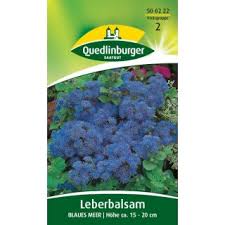 Image result for Leberbalsam